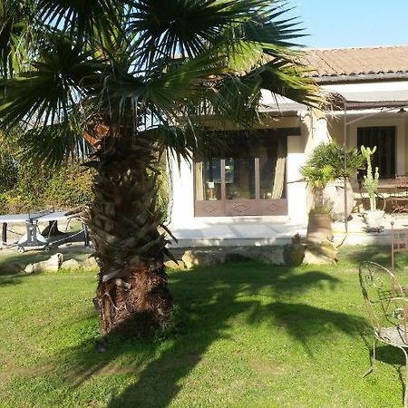 Bed and Breakfast Provence Carpentras Esterno foto