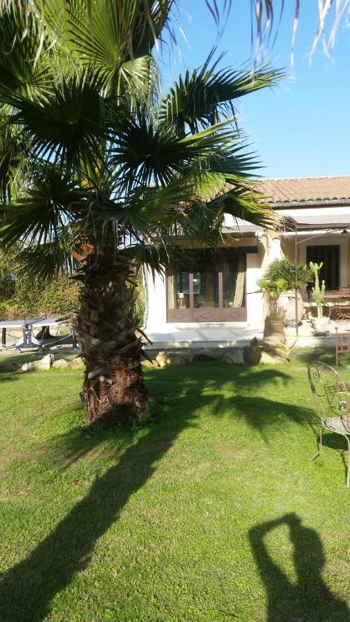 Bed and Breakfast Provence Carpentras Esterno foto